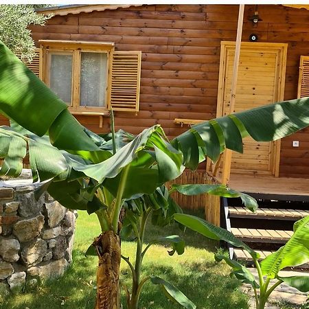 Derin Tas-Bungalow Datça Exterior foto